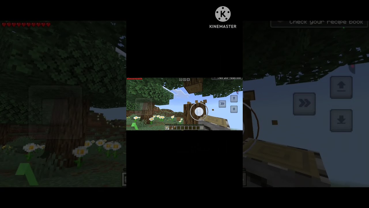 my first minecraft video 