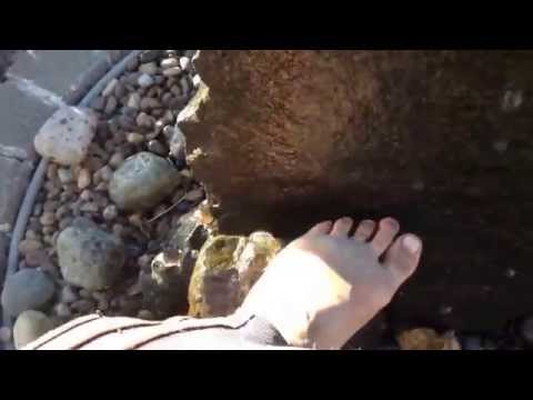 Rock Foot Bath at Volunteer Park in Winlock, Washington; ornamental