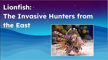 Lionfish: The Invasive Hunters from the East