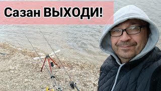 картинка: Сазан выходи бороться! VergunTV в прямом эфире!