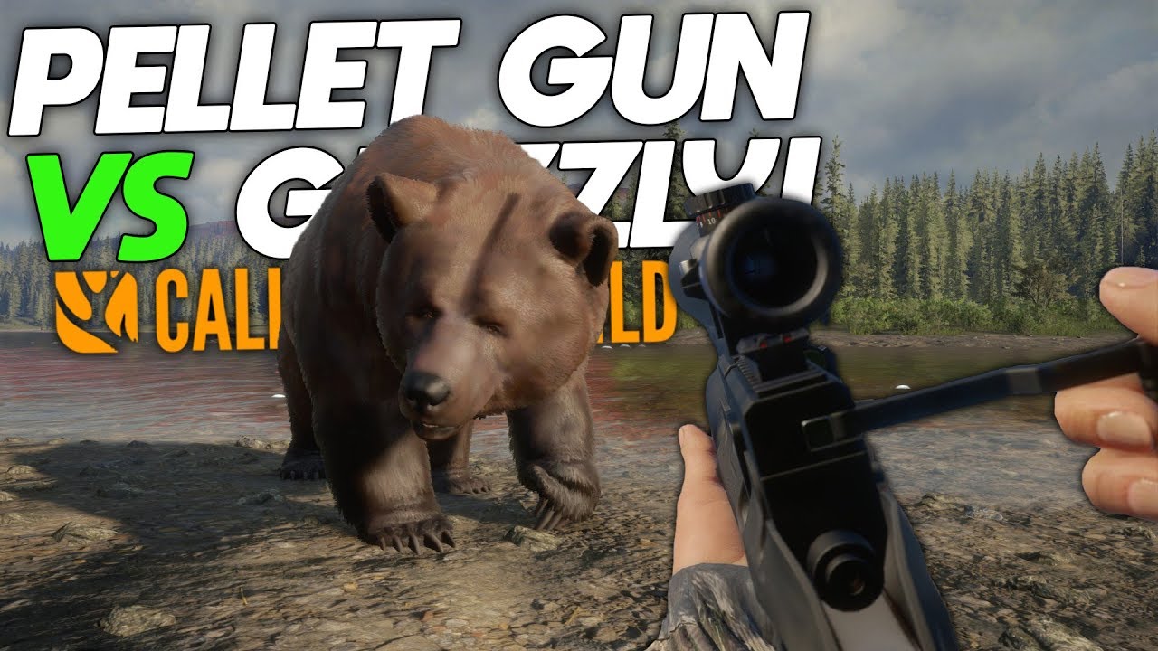 Pellet Gun VS Grizzly Bear! theHunter Call Of The Wild YouTube