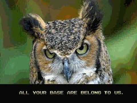 ALL YOUR BASE ARE BELONG TO O RLY?