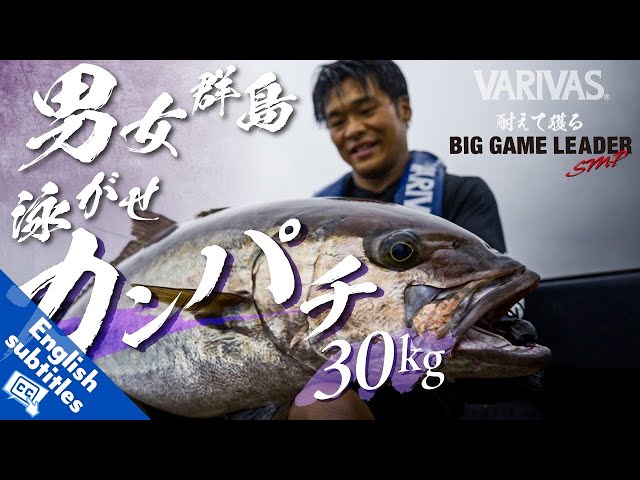 Live Bait Fishing】Personal Record 30kg Amberjack at Danjo Islands