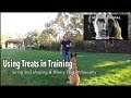 Dog Training Using Food Rewards - Robert Cabral Dog Training #8 Dog Training Using Food Rewards - Robert Cabral Dog Training #8