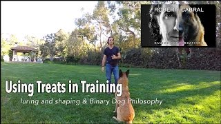 Dog Training Using Food Rewards - Robert Cabral Dog Training #8