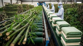 inside the Large Factory | We Made Green Fabric From Bamboo full process screenshot 3