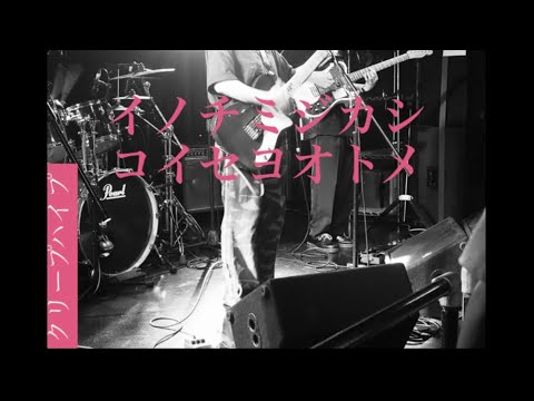 イノチミジカシコイセヨオトメ / クリープハイプ【コピー】ライブ