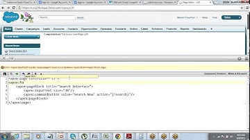 Creating Search UI in Salesforce and working with Extension Controllers | by Jeet Singh
