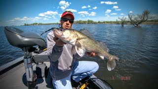 Walleye Spring Fishing Shallow Water