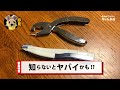 【緊急特番】知らないとヤバイ方法をしてる...かも!? これらの文具が何をする物かご存知で無い方は今すぐ聞いて下さい !!