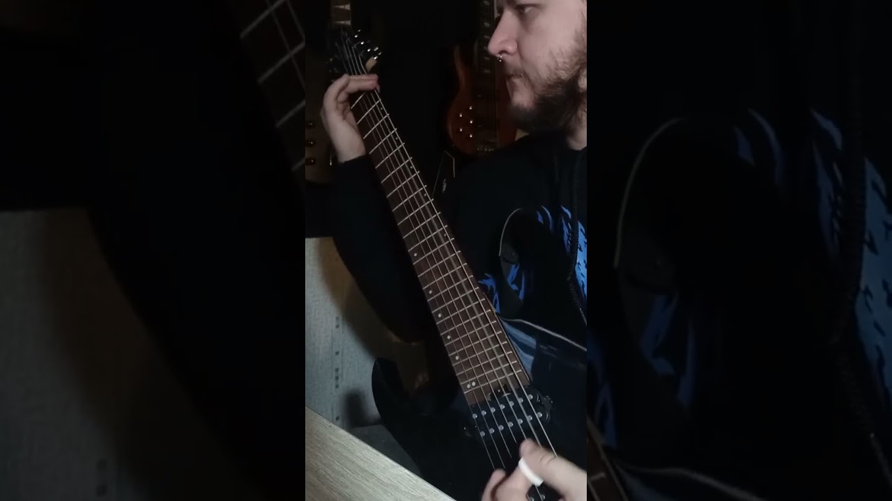 Gutalax - Diarrhero ( guitar/bass cover )