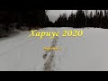 Хариус 2020/ 3 дня в тайге/ Часть 3