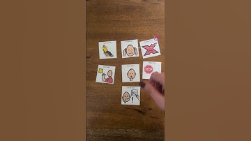 Appropriate Protests Teaching Program