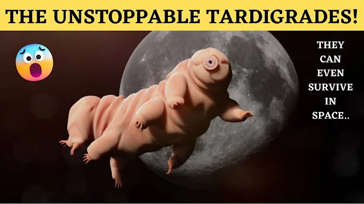The Unstoppable Tardigrades | How These Tiny Creatures Can Survive Anything, Even Space!