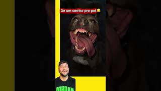Ce tá doido 😂 #pets #petsfofinhos #cachorro #cachorrosdivertidos