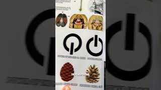 As Within So Without | Five Senses 🧘‍♀️ #spiritualawakening #higherconsciousness #mindbodyspirit