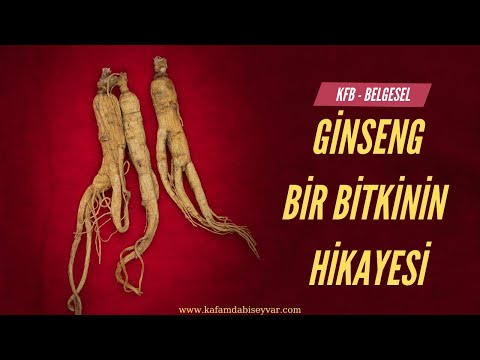 Video: Ginseng Bitki Çeşitleri: Ginseng'in Farklı Türleri Var mı?