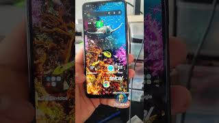 📱Cambio de pantalla Samsung a06🦾😎 #smartphone #tecnologia #tablet #puertovallarta #samsung
