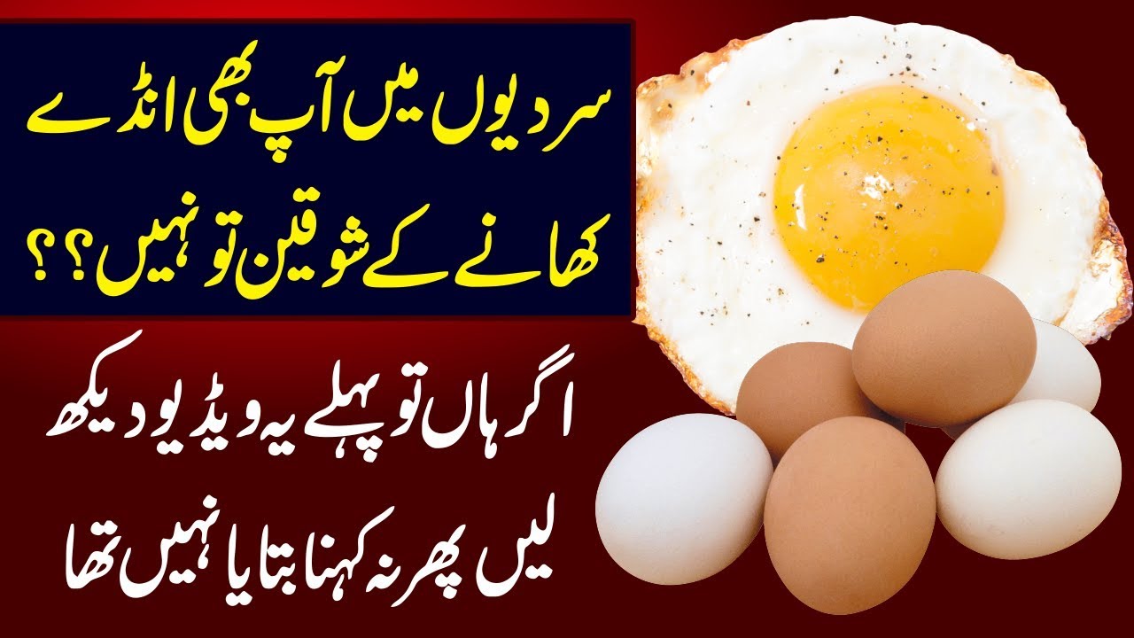 Benefits Of Eating Eggs (Andy K Fayde) Urdu Hindi Urdu Lab YouTube