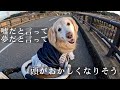 【ご報告】幸せのタイムリミット