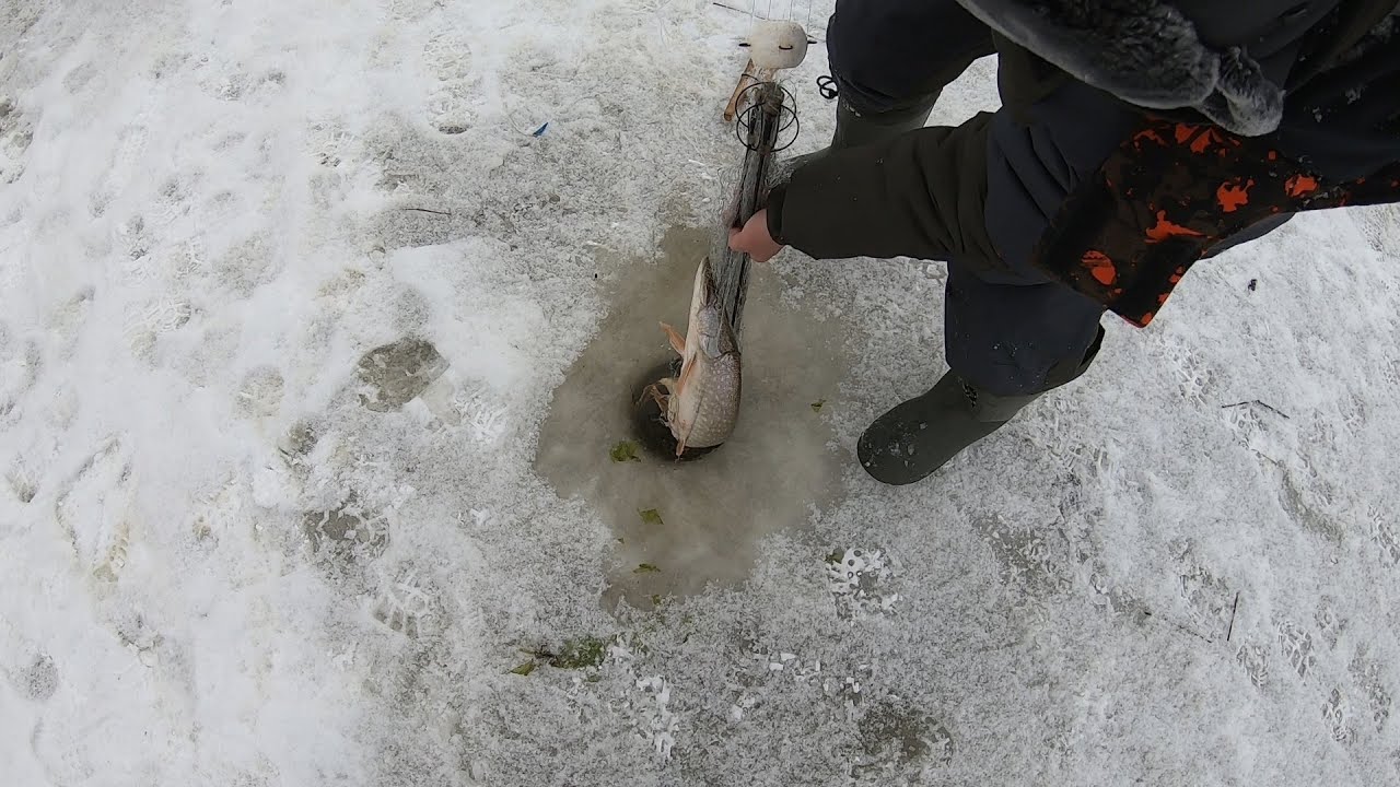 Ловля на хапугу видео. Хапуга для рыбалки зимой. Ловля на хапугу зимой. Рыболовная снасть хапуга. Снасть хапуга для зимней рыбалки.