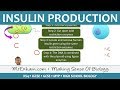 Insulin Production - GM Bacteria - GCSE Biology (9-1)