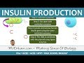 Genetic Modification and Insulin Production Quiz