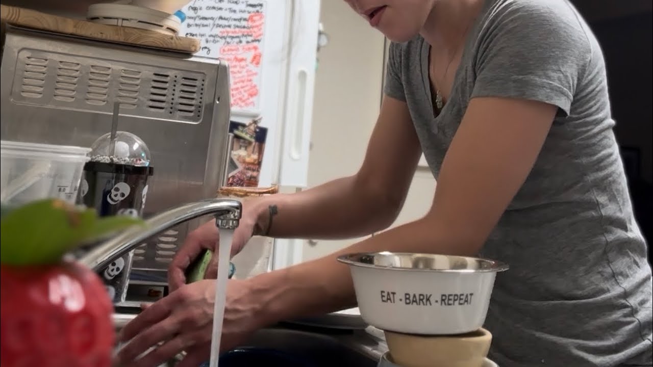 Wash dog / animal dishes with me | how I keep the pets dishes from cross contaminating ours cleaning