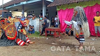 Tari Rande &Barong Bali Jaranan Sekar Sari Live Ledok