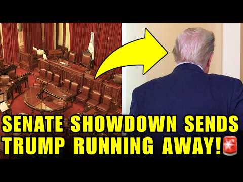 🚨Trump VERSTECKT SICH, während sein TOP-SENATOR IM SENAT ZERLEGT WIRD