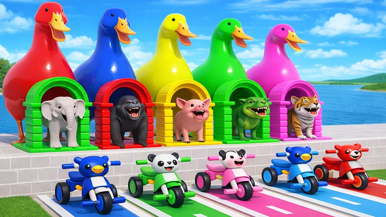 Long Slide Game With Cow Elephant Gorilla Hippopotamus Tiger 3d Animal Game Funny 3d Animals