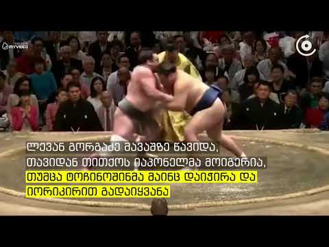 ნაცუ ბაშოს ფინალი