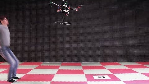 Active obstacle avoidance demo with enhanced DJI S900 drone