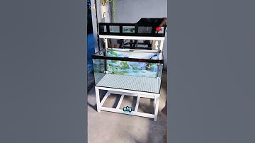 Tràn trên dấu bơm có giá đỡ lọc tích hợp hút mặt hút đáy 😻#hoanghaiaquarium #becacongnghemoi