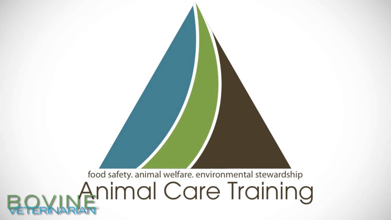 Animal Care Training YouTube