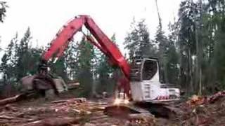 Rygaard Logging