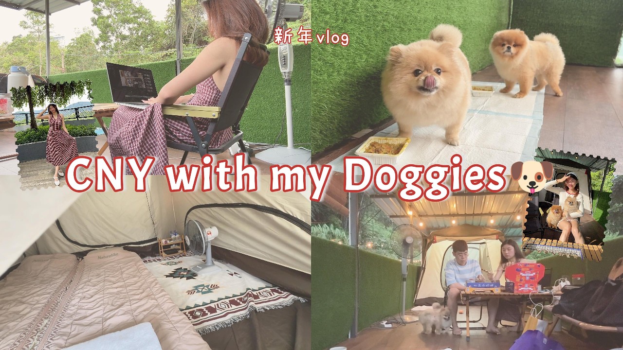 新年vlog🧧 今年初二和宝贝们过🐶！不一样的新年🐎 下着大雨露营⛺️ 简单的早餐🥣