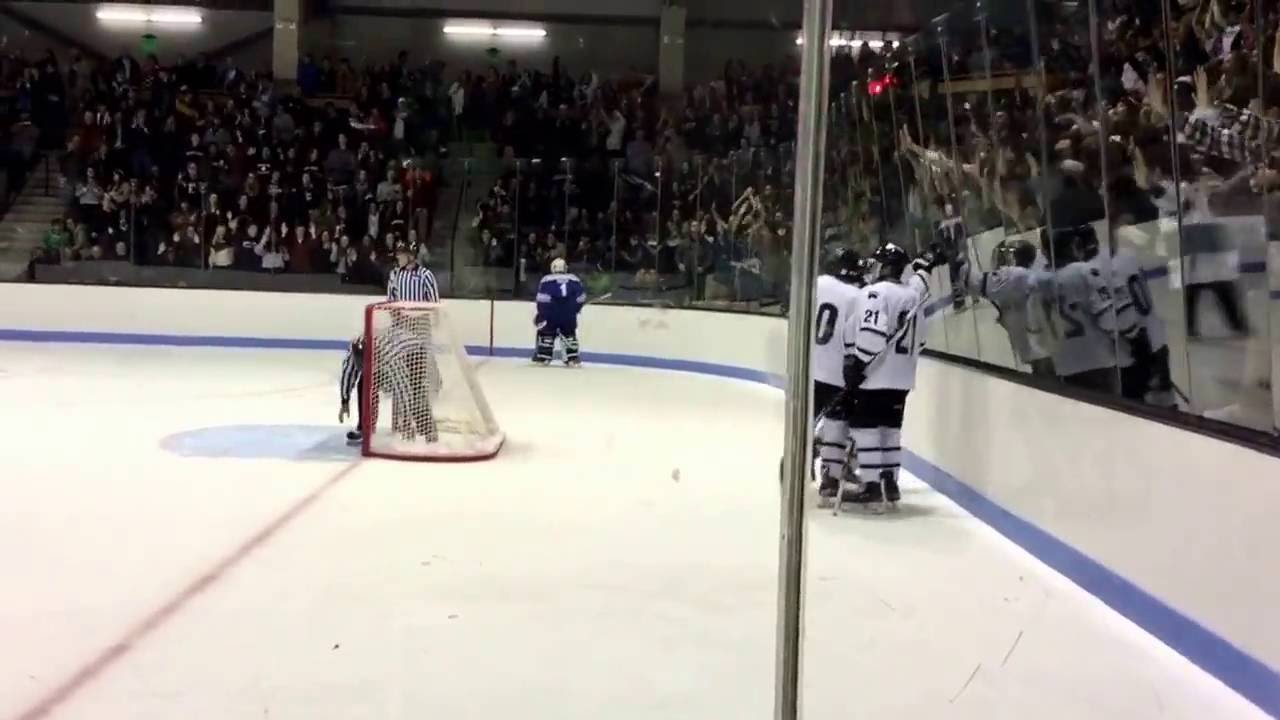 Breakaway short handed goal to give the polar bears a 10 lead late in