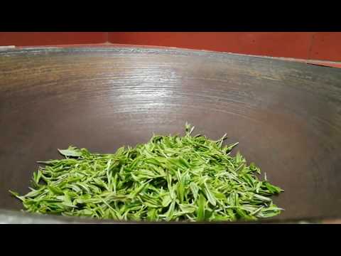 Handmade process of Chinese green tea绿茶手工制作过程