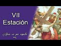 VII Estación : Jesús cae por segunda vez ( Vidal)