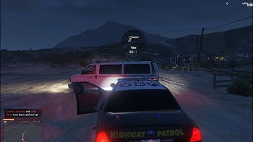 Cops: Live in the LSPDFR Matrix 21