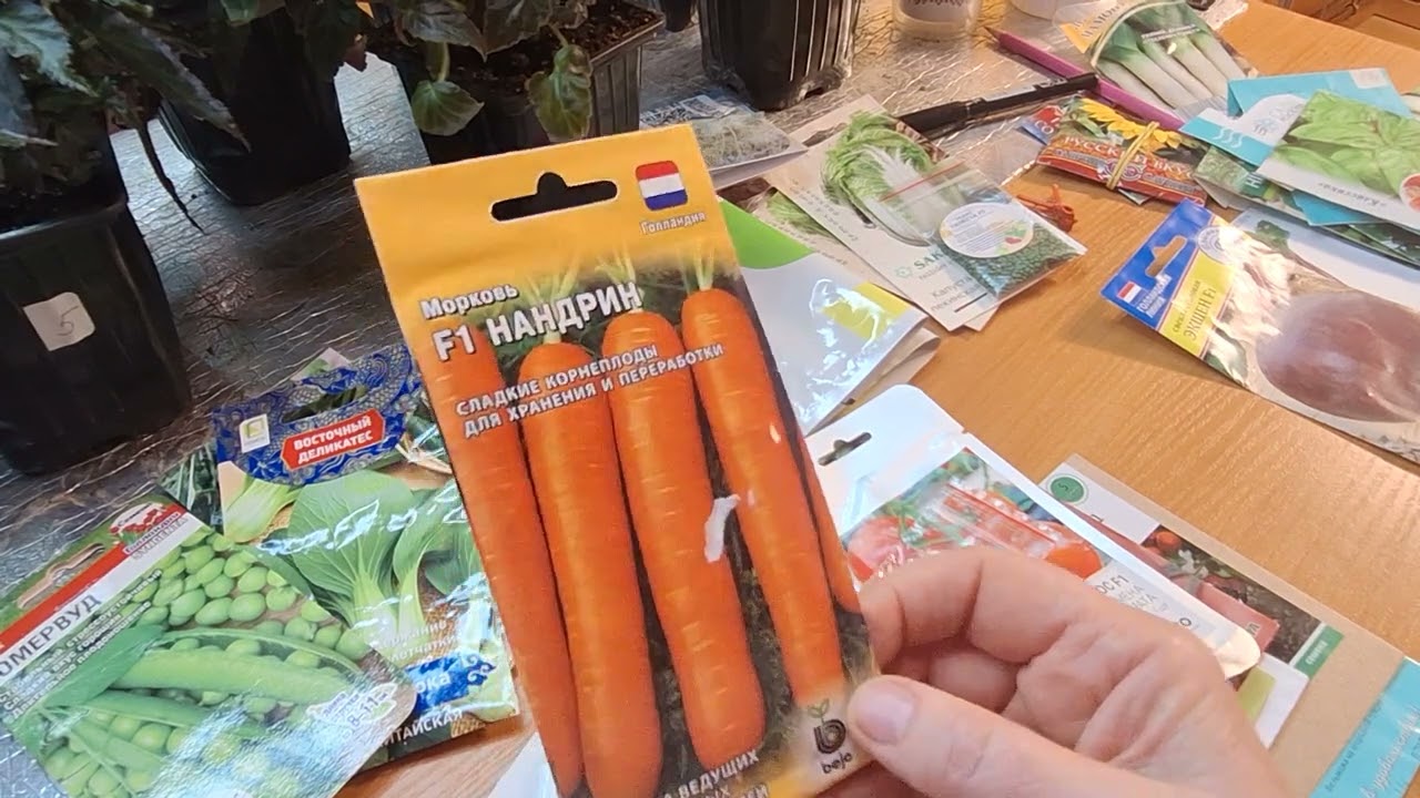 По запросу- какие овощи выращиваю!?