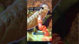 Some Grubs 😎 #grounded2 #videogaming #grounded2gameplay #xbox #gamingcommunity