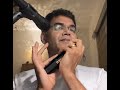 Teri bindiya re harmonica cover