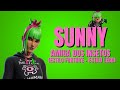 SUNNY AMIGA DOS INSETOS (Estilo Fortnite + Estilo Lego)
