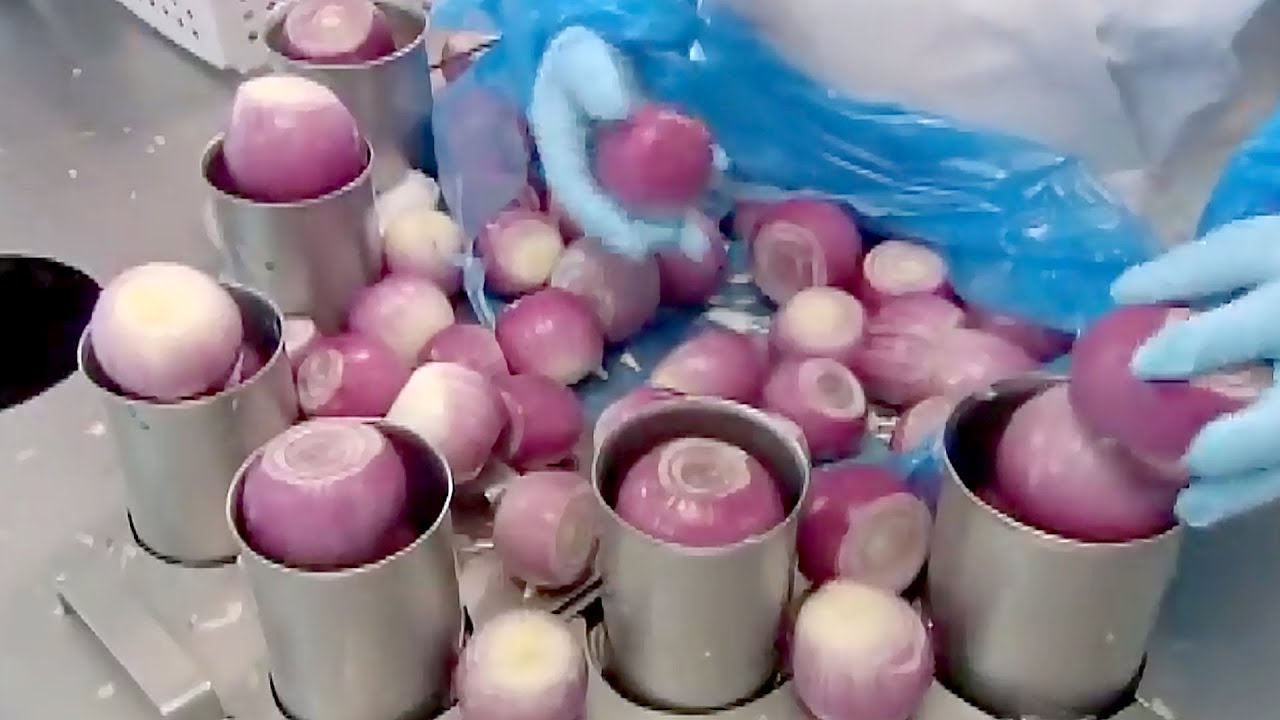 How to harvest Potato & Onion ? Modern Machine & Tehnology use for