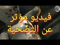 فيديو مؤثر عن التضحية فيديو مؤثر عن التضحية