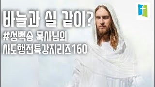 [비둘기 꿀성경공부(현미경식/영감적) /비상. 둘 셋이…