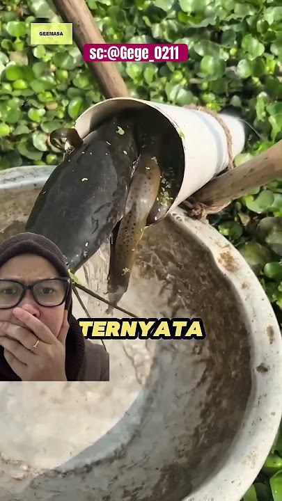 MAKE A FISH TRAP BUT THE ONE YOU CATCH IS AN EEL #funny #dubbing #remix