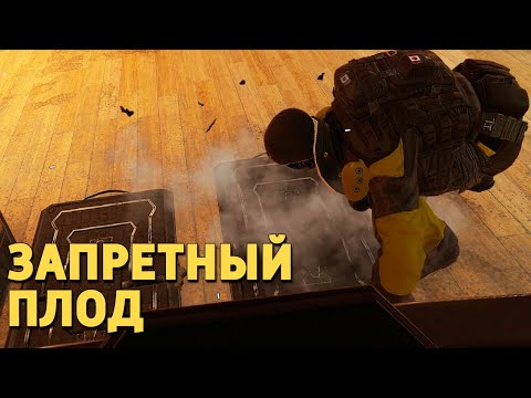 Видео: Запретный плод /Rainbow Six Siege